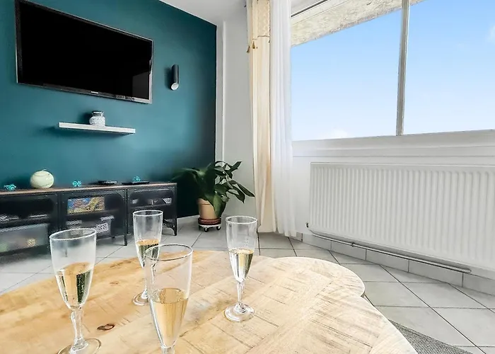 Appartement Vue Panoramique Sur La Plage, Grand T2 Duinkerke